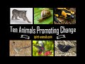 Ten Animals Promoting Change