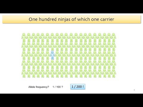 Lecture 7: Population Genetics