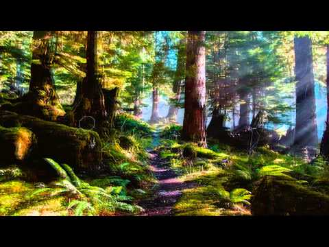 Bioscape - Bath of the Inca