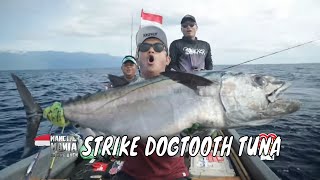 Download lagu Menaklukkan Perlawanan Ikan Monster Perairan Nabire | MANCING MANIA STRIKE BACK (16/08/25) Part 1 mp3