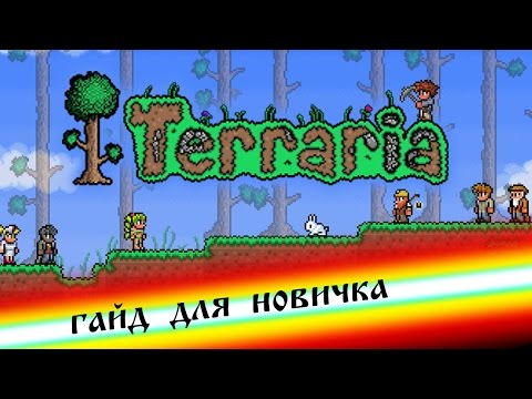 Terraria - гайд для новичка, основы крафта, биомы