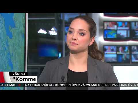 Snövarningar i dag - "Kan komma uppemot 20 cm" - Nyheterna (TV4)