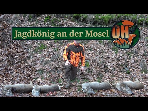 Drückjagdmärchen bei Jagdkonzept I Tag 2 I JAGDKÖNIG an der Mosel