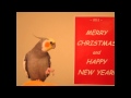 Bernie The Cockatiel We Wish You A Merry Christmas
