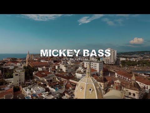 Mickey Bass - La Niña Rebelde