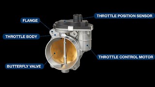 Throttle Body Not Working Symptoms (P2101 code fix)
