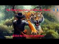 The Dumb Man Eater Of Talavadi India By Mr Kenneth Anderson Voiced In English Enhanced Audio