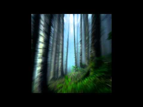 Video thumbnail for If You Go Down to the Woods