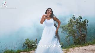 හිත බැදි ස්නෙහවන්ති නුඹ/Hitha badi snehawanthi nuba cover dance/praveena dissanayake