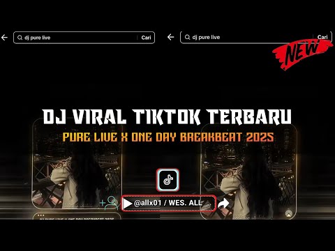 DJ PURE LIVE X ONE DAY BREAKBEAT 2025 BY WES ALL