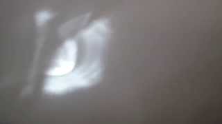 Light Dances to the Sad Eyed Lady (Silently)