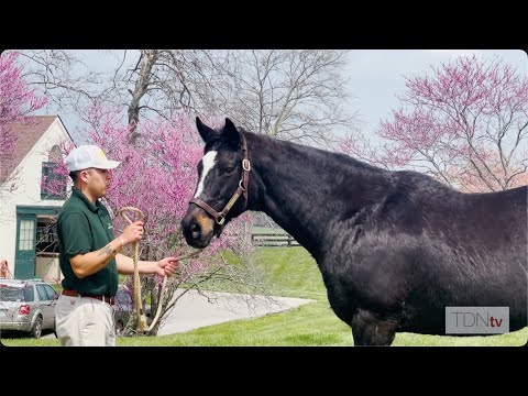 Celebrate Zenyatta’s 20 Birthday with Visit Horse Country
