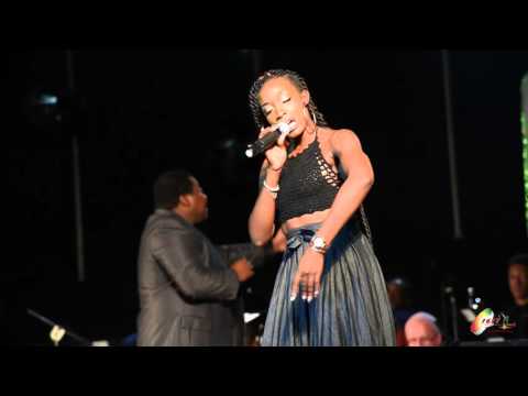 1688 Collective Big Band - Island in the Sun with Nikita Browne