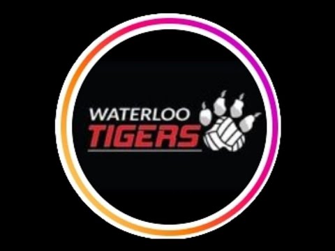 Tiger vs Smash- Vortex - 17/12/2023