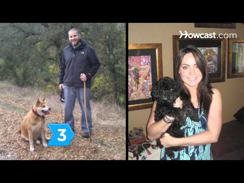 download lagu mp3 mp4 Two Syllable Male Cat Names, download lagu Two Syllable Male Cat Names gratis, unduh video klip Two Syllable Male Cat Names