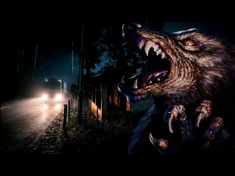 Seu Jonas caminhoneiro é o terror na estrada de Monte Carmelo Minas Gerais