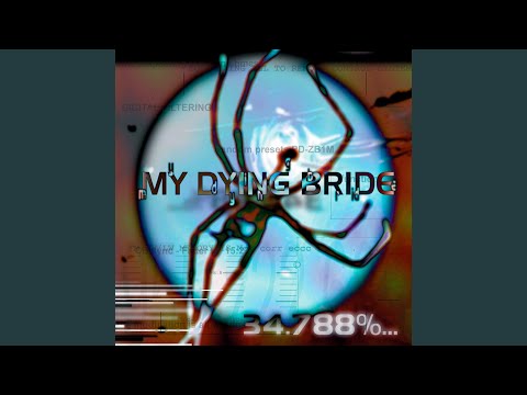 The Whore, the Cook and the Mother - My Dying Bride