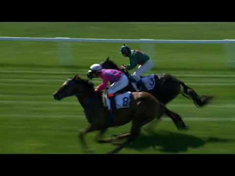 Szeptemberi gátverseny 2800m