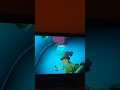 Green Eggs And Ham The Goat Is On The Boat