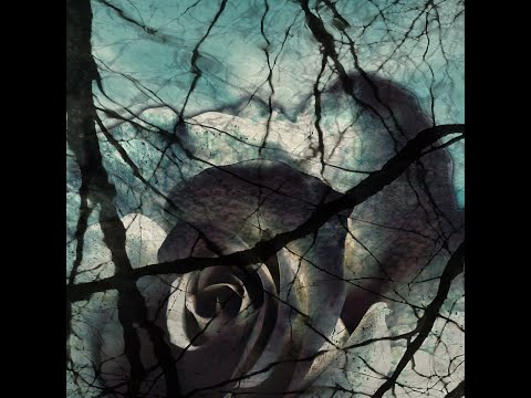 KardiP - Lost It [Prod. johnnyfriend]