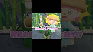 【たけのかご】ぜひとも背負いたかった…？！？！#あつ森 #どうぶつの森 #あつまれどうぶつの森 #どう森 #shorts #short #shortvideo
