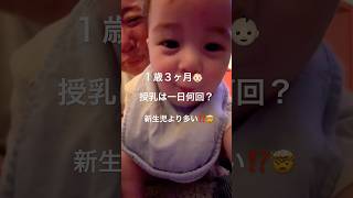 🇺🇸1歳3ヶ月息子の一日の授乳回数‼️○○回🤯新生児より多い⁉️#アメリカ子育て #授乳 #アメリカ生活