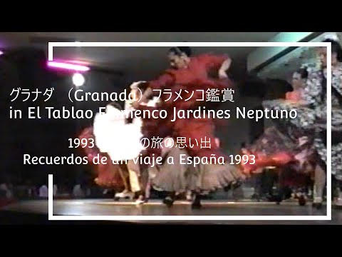 1993年スペイン旅行《３８》Granada：フラメンコ(Apreciación flamenca)④