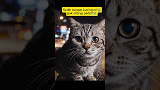 Download lagu kasian banget kucing ini😭 #cat #kucing #kucinglucu #kucingsedih #kucinggemoy #kucingsakit mp3
