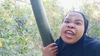 Download lagu STORY WhatsApp 30 Detik || AGUS DI PANGGIL KI BUAT MELAMAR || VIDIO LUCU mp3