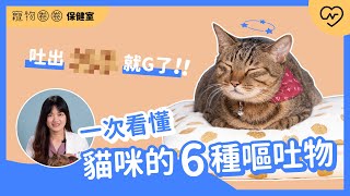 [心得/分享] 一次看懂「貓咪的6種嘔吐物」 