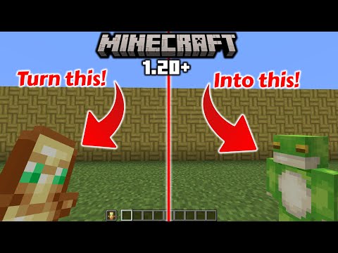 How to change totems to your own skin! | 1.20 Minecraft