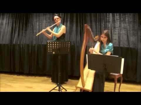J.S. Bach/Ch. Gounod - Ave Maria