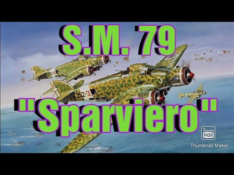 IL TRIMOTORE PIÙ FAMOSO DELLA REGIA AERONAUTICA