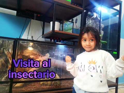 acompáñame a visitar en insectario en Lima Perú más contenido en Instagram el mundo de Juliett