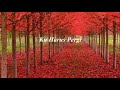 Lagu Ku Harus Pergi Zias Band Lirik