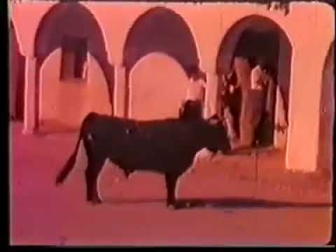 1957 Garrovillas de Alconétar - Toros- Jesus Montero