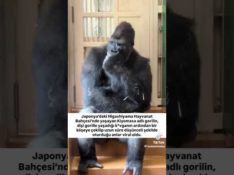 FERDİ BABANIN DEDİĞİ GİBİ AŞK ACI ŞARAPTIR