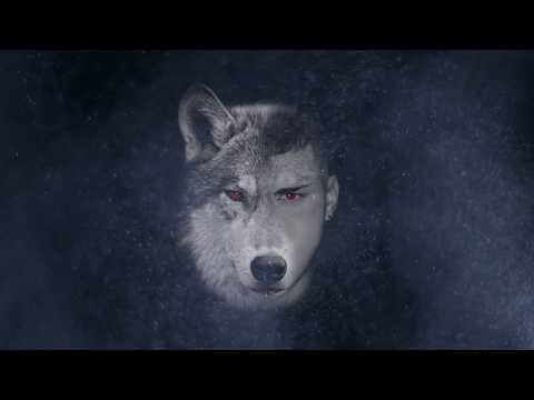 ER LUPO X SONO PRONTO X (Official Video)