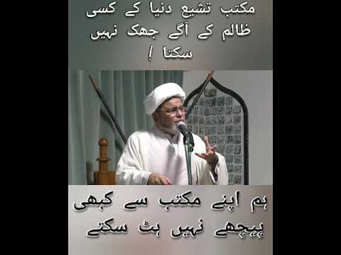 #ALLAMA#SHABBIR#HASAN#MAISAMI