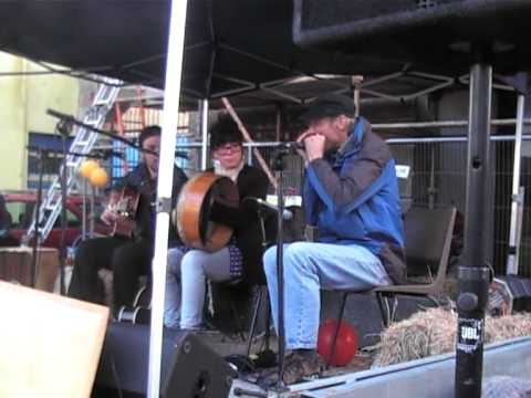 Cathy Jordan with band the unwanted, Global Frackdown:Ban Fracking. Manorhamilton, Leitrim, Ireland.