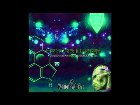 Shouton - Bionic Programing