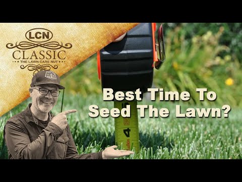 Best time to seed the lawn? planting grass seed - timing