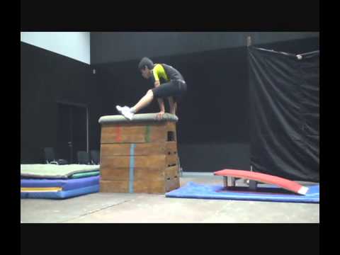 ESA TEM TALENTO Audição José Leite - Ginástica Artistica