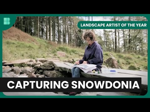 Winner's Journey - Landscape Artist of the Year - S06 EP9 - Art Documentary