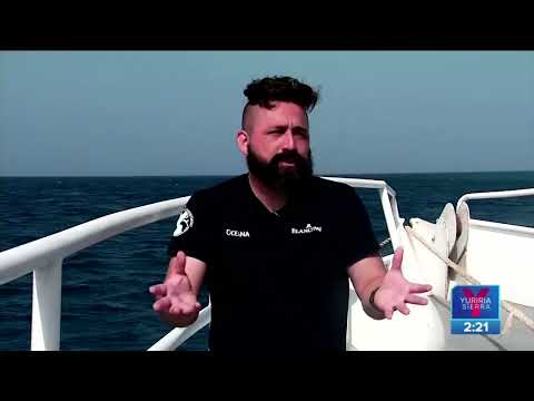 Arrecife Alacranes, víctima de pescadores furtivos | Noticias con Yuriria Sierra