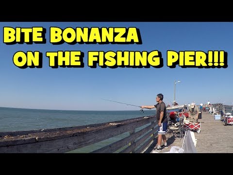 BITE BONANZA on the FISHING PIER! Filling Our Cooler RESPONSIBLY! (2019 VA Family Trip -- PART 3/4)