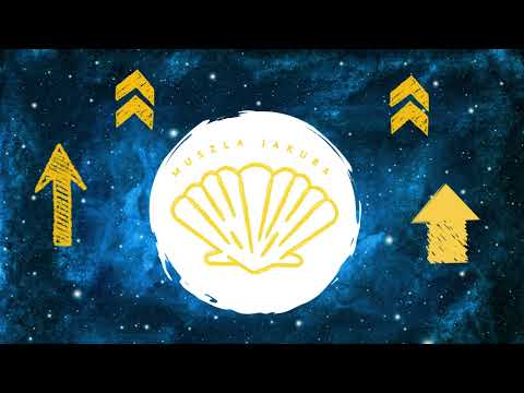 Muszla Jakuba - Santiago de Compostela