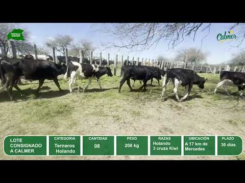 Video del lote L0-000873