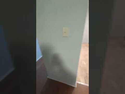 3810 Chamberlayne Ave #A - Video 5 of 5