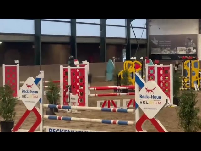 &Agrave; VENDRE &mdash; Ponette D d&rsquo;exception pour le sport 